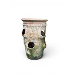 Set of five weathered terracotta strawberry pots, circular form with ribbed top