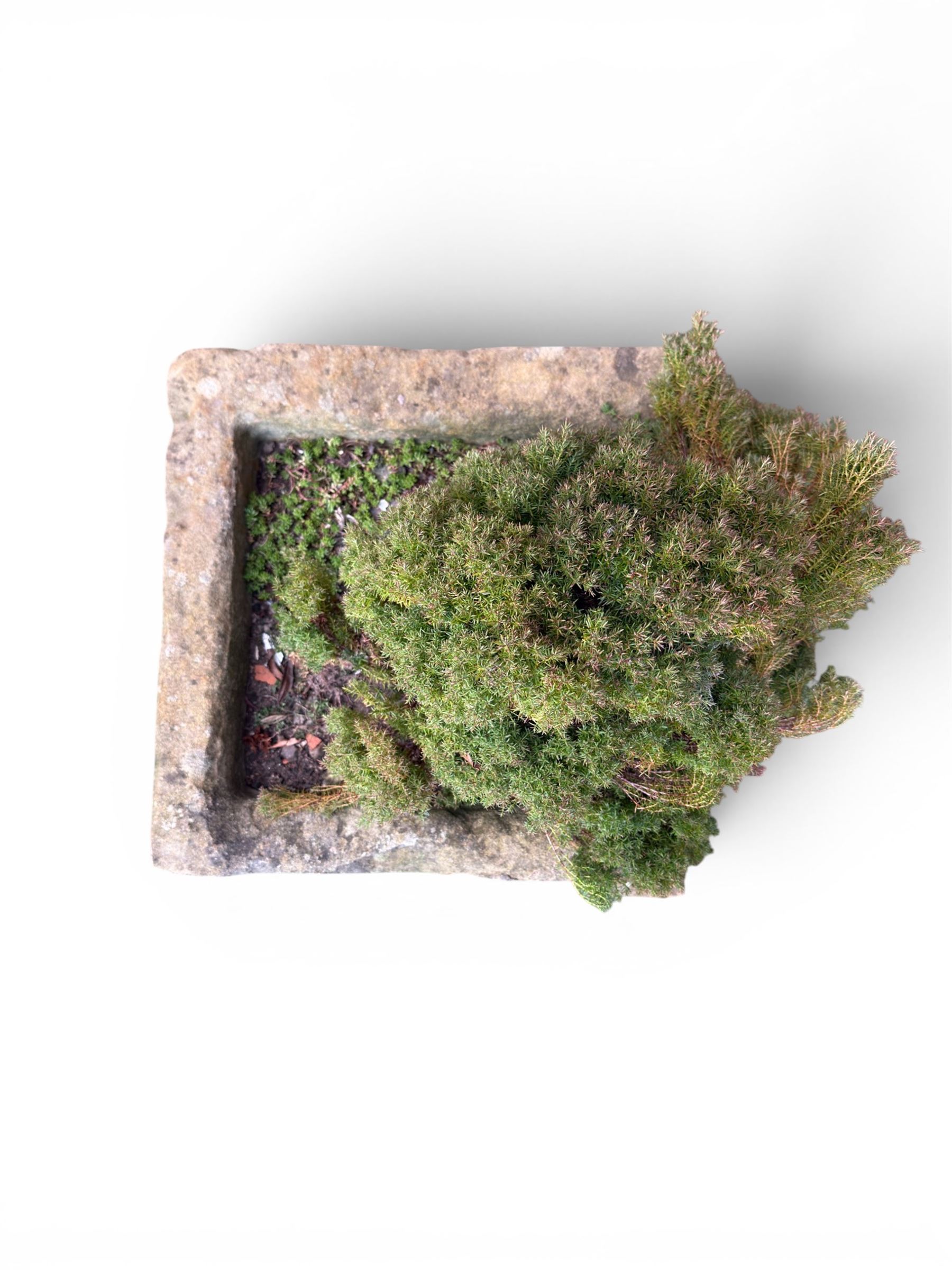 19th century hewn stone planter of square form, planted 