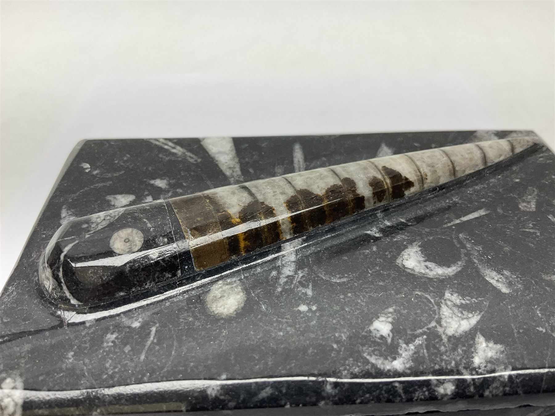 Three piece desk set, comprising letter rack, dish and box with raised Orthoceras to the lid, all with Orthoceras and Goniatite inclusions, age: Devonian period, location: Morocco
