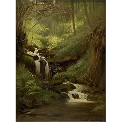 Frederick William Elwell (British 1870-1958): Woodland Waterfall, oil on panel signed and dated 1915, 39cm x 29cm
Provenance: East Yorkshire private collection

