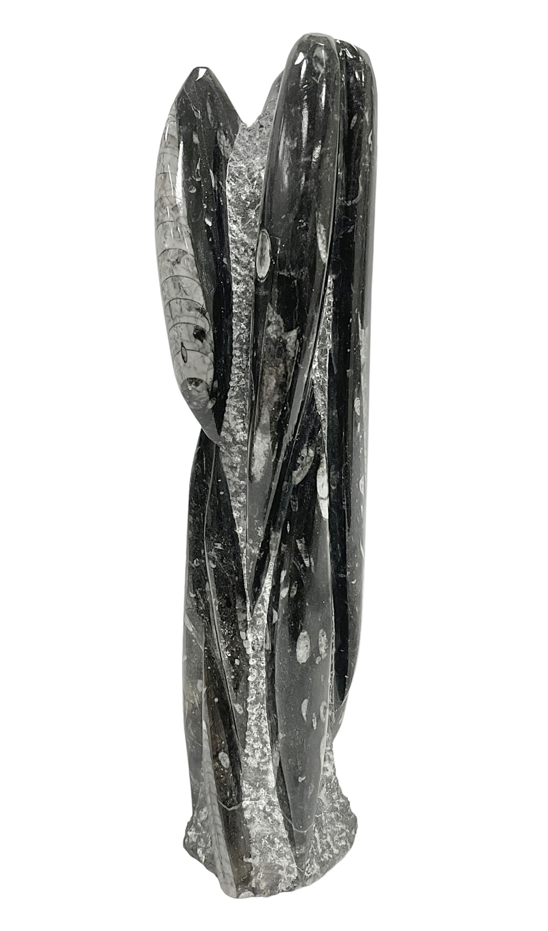 Orthoceras fossil tower, age: Devonian period, location: Morocco, H33cm