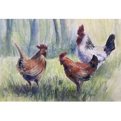 Justin Lowe (British Contemporary): Three Cockerels, watercolour signed and dated '95, 25cm x 37cm 