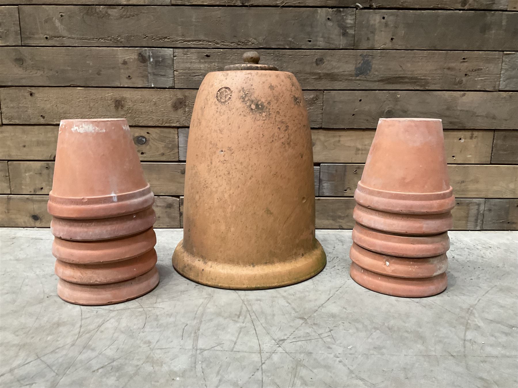 Yorkshire Flower Pots - Terracotta rhubarb forcer (H49cm, D40cm) and ten Sankey terracota plant pots (H17cm, D20cm)