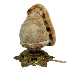 Carved conch shell table lamp, raised upon an ornate gilt metal base, H