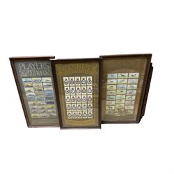 Collection of framed cigaret cards, including examples by John Players and sons 
