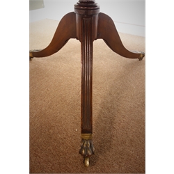  Quality 19th century figure mahogany twin pedestal dining table with leaf, turned columns with splayed reeded supports with brass hairy paw castors, 232cm x 112cm, H74cm  