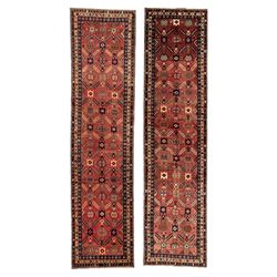 Near pair of Persian Azerbaijan red grou