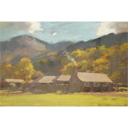 David Woodford (British 1938-): Eryri La