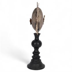 Taxidermy; Preserved Triggerfish (Balistidae), full adult mount, mounted upon an ebonised pedestal, fish L48cm, overall H50cm