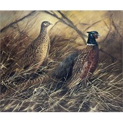 Mick Cawston (British 1959-2006): A Brace of Pheasants, oil on canvas signed and dated 1987, 50cm x 60cm