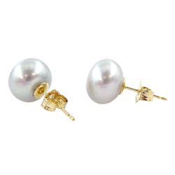 Pair of 9ct gold light grey pearl stud earrings