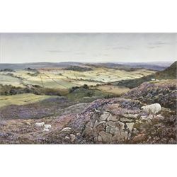 N C Hanson (British 20th century): 'Hob Crag Rosendale' and 'In Mulgrave Woods Sandsend', two oils on canvas signed max 33cm x 47cm (2)
