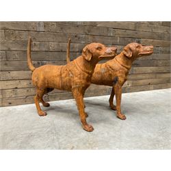 Pair of life-size heavy cast iron garden Hunting dogs