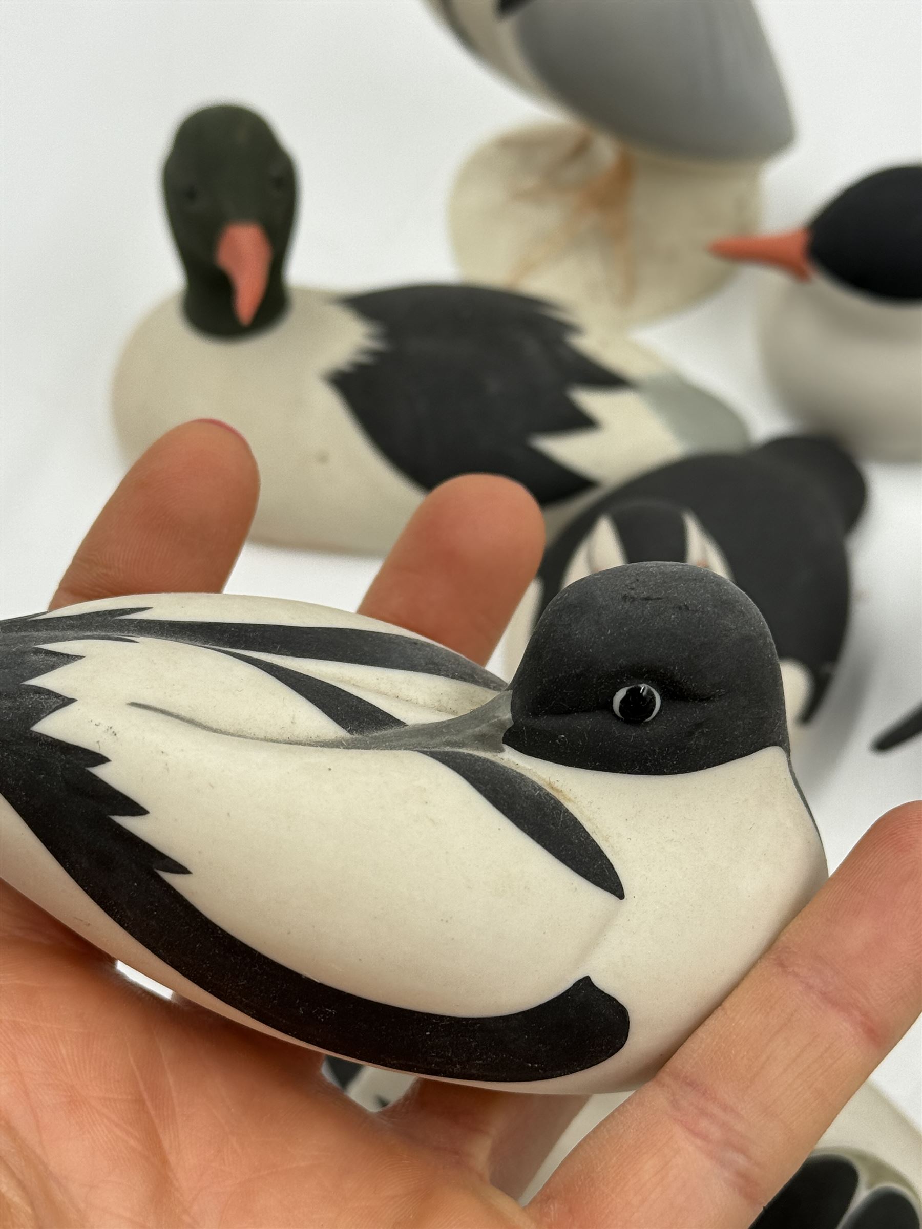 Group of eleven Scottish 'Isle of Arran' bisque porcelain birds, to include Great Northern Diver, Eider, great Crested Greebe, Artic Tern, King Penguin, etc.

