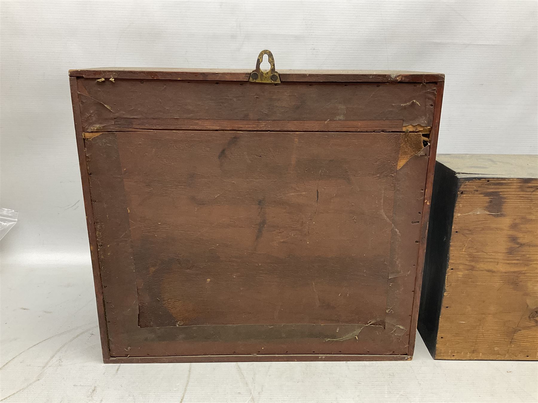 Taxidermy: Red Squirrels (Sciurus vulgaris), full adult mount, climbing a small cut tree stump, in a naturalistic setting, encased within a single pane display case, together with cased Ermine ((Mustela erminea), full adult mount, in a ebonised single pane display case, squirrel case, H35cm, L38cm