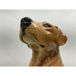 Large Beswick fire side figure of a yellow labrador, modelled seated, no. 2314, with impressed marks beneath, H34cm