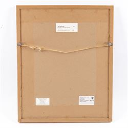 Lucy Collins (British Contemporary): 'Our Back Yard', watercolour signed and dated '08, titled verso 29cm x 21cm