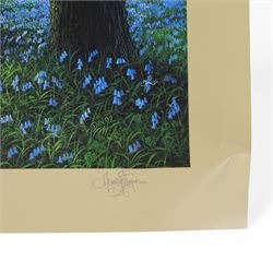 Danny Flynn (British 1958-): digital print of for a 90s TV show that never came to air featuring Danny Flynn in the centre and Arthur C Clarke looking on, two limited edition signed prints of a bluebell wood, two further signed limited edition prints of birds in surreal landscapes and a collection of postcards, three prints framed, largest H34cm

Notes: This item is from the private collection of Arthur C. Clarke's brother.