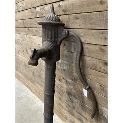 19th century cast iron water pump, lion crest with registration mark
