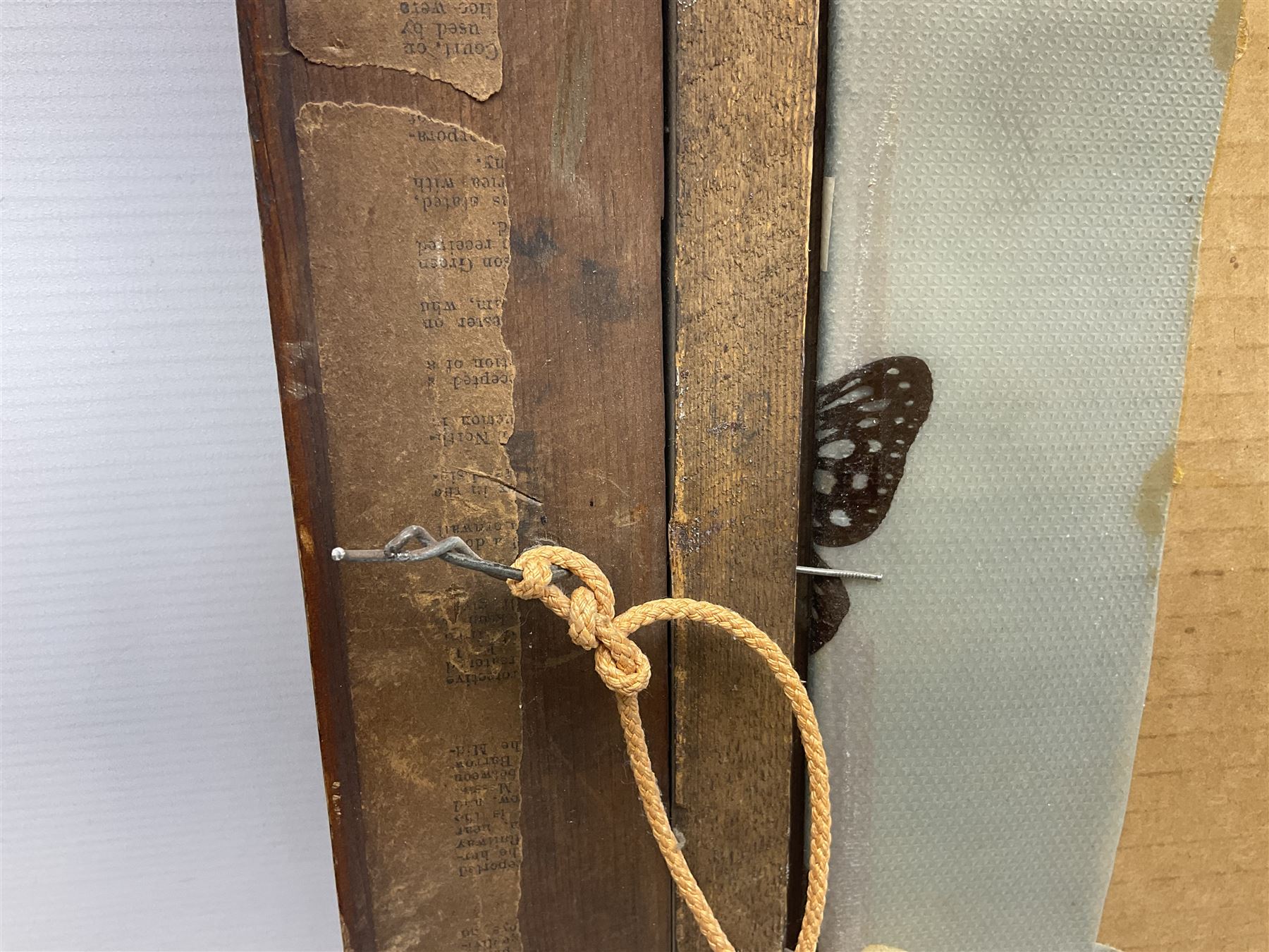 Taiwanese butterfly identification poster inscribed 