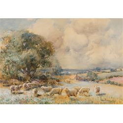 Owen Bowen (Staithes Group 1873-1967): Sheep Grazing, watercolour heightened in white sign...