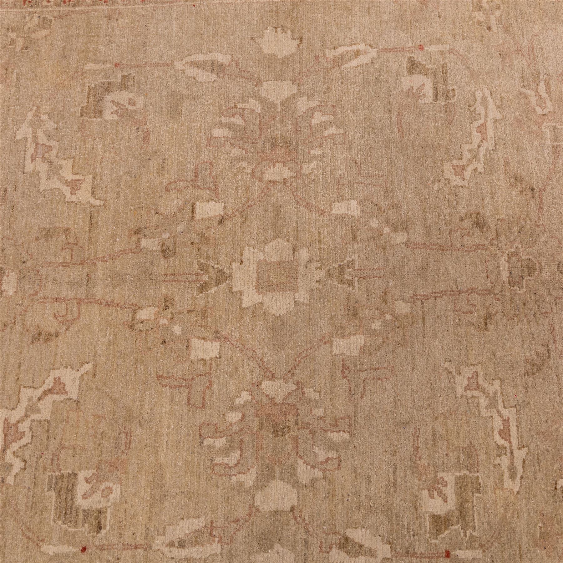 Afghan Ziegler hand-knotted carpet, soft ivory field woven with an elegant arrangement of scrolling vines and stylized palmettes with a central medallion, palette in muted tones of beige, terracotta, and blush pink, within a broad complementary border of angular floral devices and reciprocal guard stripes, fringe ends