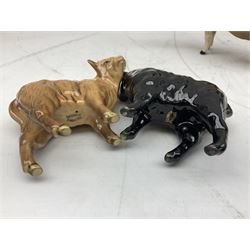 Seven Beswick cow figures, to include Friesian bull Ch. ''Coddington Hilt Bar'' no. 1439a, Friesian cow Ch. 'Claybury Leegwater' no. 1362a and Friesian calf no. 1249C, Aberdeen Angus calf 1827a, Jersey cow no. 1345 etc, all with printed mark beneath  
