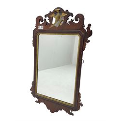 Victorian mahogany mirror, pierced and carved frame with scrolling and gilt gryphon decoration
