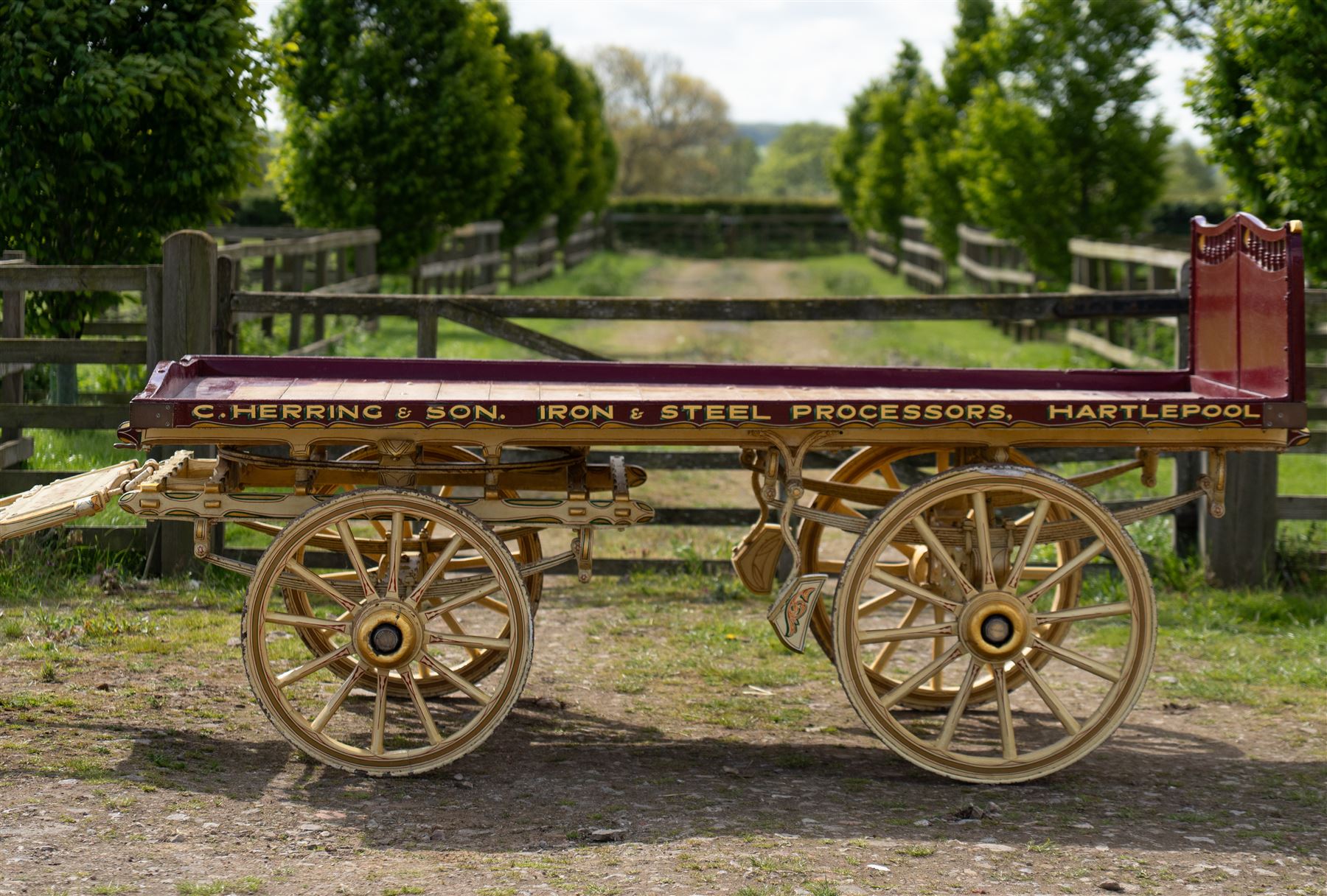 Advertising Trade Dray Wagon for C. Herring & Son, Hartlepool, Dated 1895 and Renovated 1975

An exceptionally decorative late Victorian horse drawn advertising trade dray, built by J. Herring of Hartlepool in 1895 and later renovated by C. Herring in 1975, as recorded by the painted inscription beneath the body. Finished in a striking cream and maroon livery with extensive hand painted signwriting, the wagon carries the name C. Herring & Son, Iron & Steel Processors, Hartlepool along its sides and rear panels. The wagon is fitted with a flat timber loading bed, twin shafts for a single horse, elegant spoked wooden wheels, iron bound tyres, rear headboard and traditional undercarriage with leaf spring suspension. Richly detailed scrollwork and lining throughout make this a particularly attractive example, suitable for collection, display, museum, promotional or coaching purposes.

Features

• Built by J. Herring, Hartlepool, 1895
• Renovated by C. Herring in 1975
• Original style hand painted advertising signwriting
• Flat timber loading platform
• Raised rear headboard with decorative pierced gallery
• Twin shafts for a single horse
• Wooden spoked wheels with iron tyres
• Traditional leaf spring suspension
• Extensive decorative lining and scrollwork throughout
• Attractive cream and maroon colour scheme
• Suitable for private collection, museum or display use

Dimensions:
Overall length: 560 cm
Body length: 300 cm
Width: 158 cm
Height: 150 cm

Wheel Diameters:
Front wheels: 76 cm
Rear wheels: 86 cm