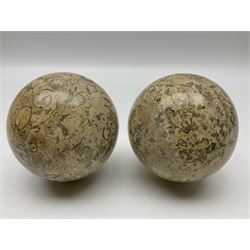 Pair of fossilised coral spheres, D12cm