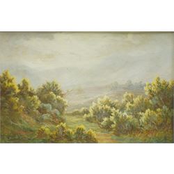 Everett Watson Mellor (British 1878-1965): Moorland Landscape, watercolour signed 20cm x 30cm
