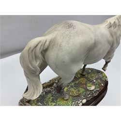Royal Doulton limited edition figure, Desert Orchid, 1972/7500, on wooden plinth, with certificate of authenticity and original box,  H32.5cm