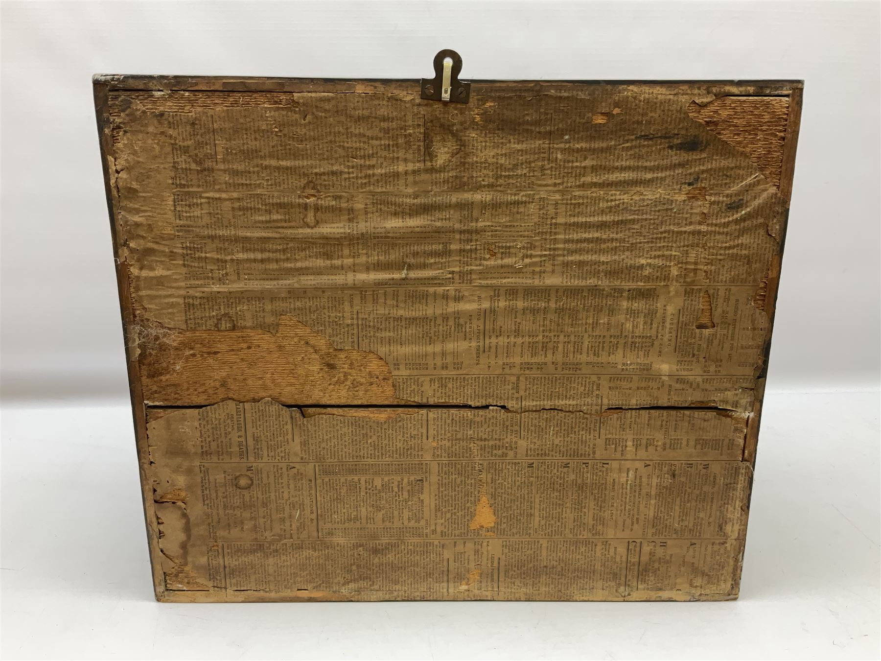 Taxidermy; Victorian cased pair of Sparrowhawks (Accipiter nisus), male and female full mounts, on a naturalistic setting, encased within an ebonised single pane display case, H40, W47cm, D19.5cm