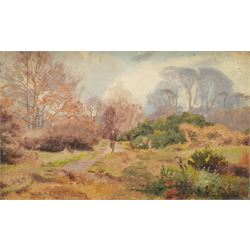 J Baxter (British early 20th century): Moorland Path, oil on panel signed 16cm x 28cm