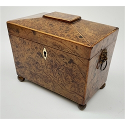 George III burr yew tea caddy, of sarcophagus form with lion mask ring handles and four brass ball feet, the hinged lid opening to reveal two compartments with cross-banded lids and traces of metallic paper lining, L19cm