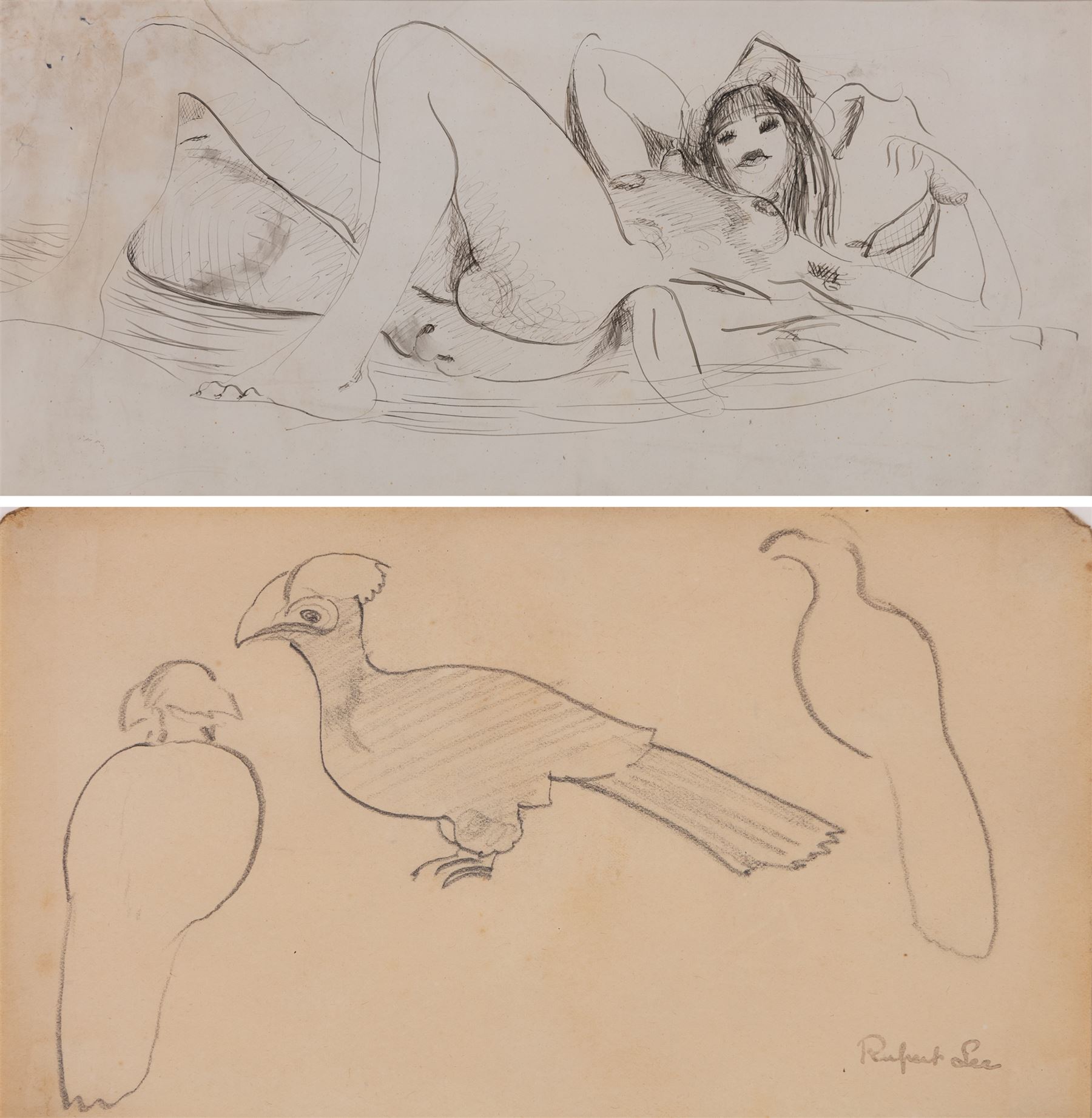Attrib. Nina Hamnett (Welsh 1890-1956): Reclining Nude, ink on paper 17.5cm x 39cm; Rupert Lee (British 1887-1959): Bird Study, pencil on paper signed, unglazed. The Court Gallery label verso 12cm x 20cm (2)