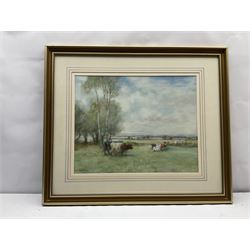 David Thomas Robertson (British 1879-1952): Cattle Grazing in Pastoral Landscape, watercolour signed 41cm x 52cm