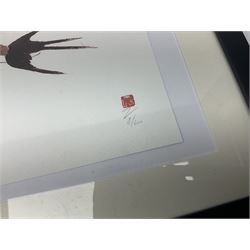 Mexican School (20th century): Birds of Paradise, pair Amate bark paintings together with four further pictures of birds max 31cm x 23cm (6)