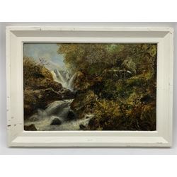 E Fraser (Scottish 19th century): Picnic Next to Roaring Waterfall, oil on board signed and dated 1884, 29cm x 44cm
