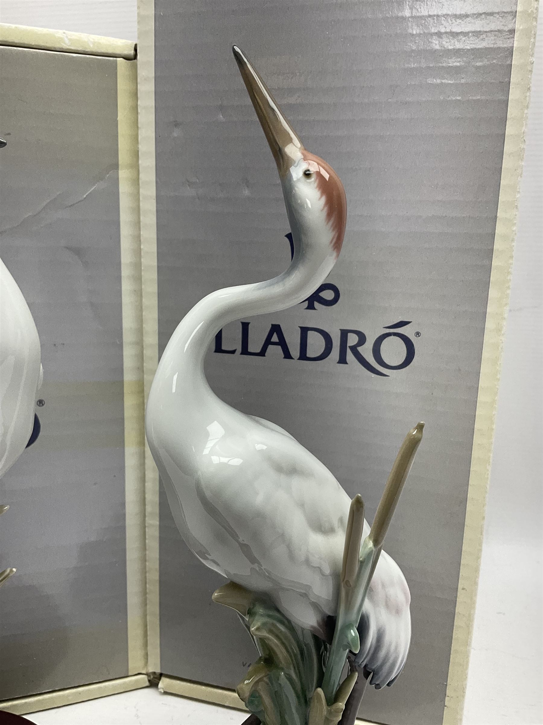 Two boxed Lladro figures, comprising courting cranes no 1611 and dancing crane no 1614, both with original boxes 