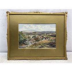 Mary Weatherill (British 1834-1913): 'Eller Beck Bridge near Goathland', watercolour signed in pencil with initials titled and dated 1862, 23cm x 34cm