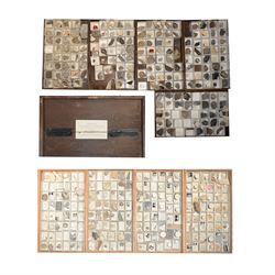 19th century box holding a collection of British Fossils, with makers label to the lid 'Collection of British Fossils to illustrate the textbooks and manuals of geology by Lyell, Page, Green & C, Arranged stratigraphically by James R. Gregory & Co mineralogisits .....', all samples numbered with and scribed name labels    
