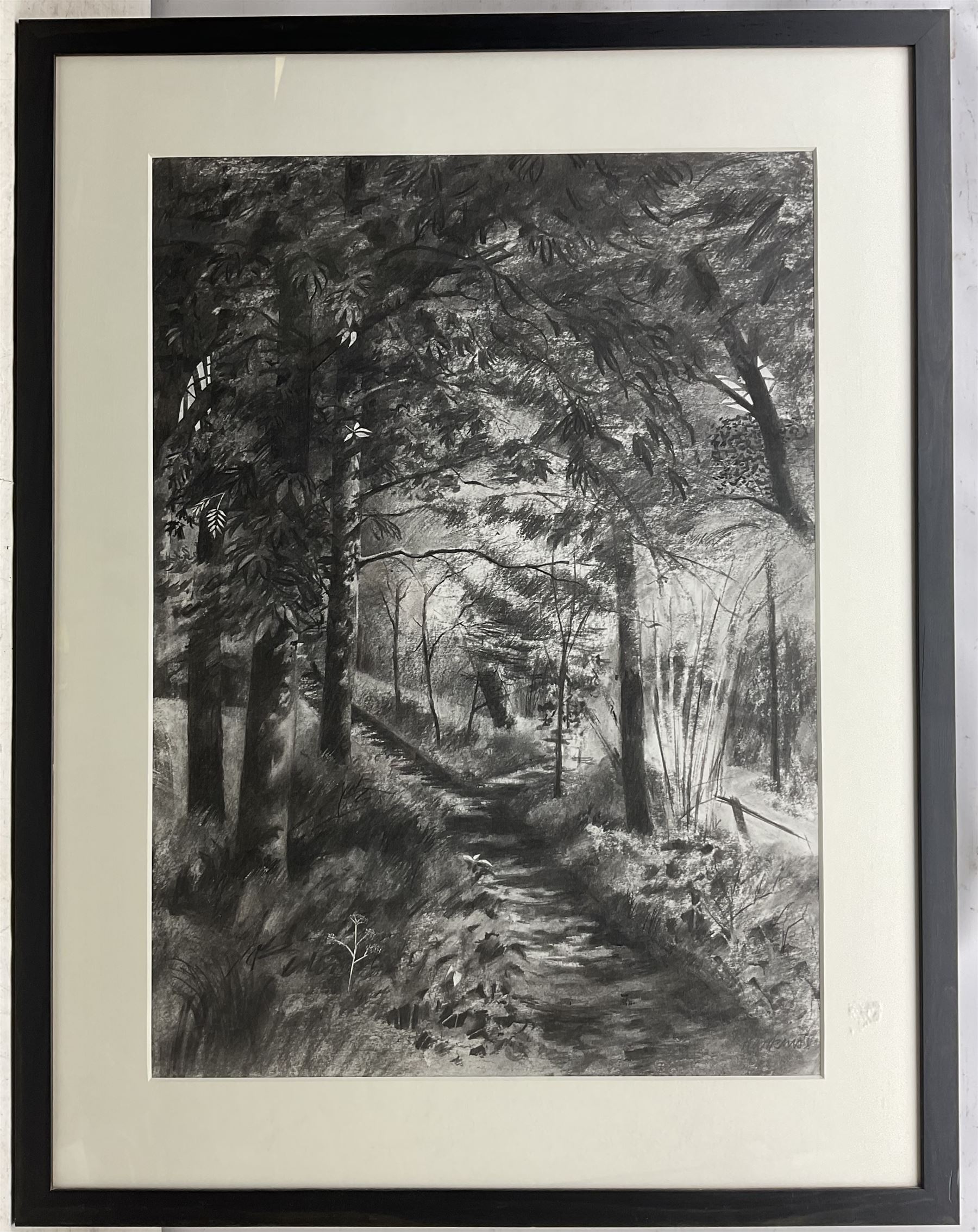 Andy Hawkins (British Contemporary): Shaded Woodland Path, charcoal signed 78cm x 56cm 
