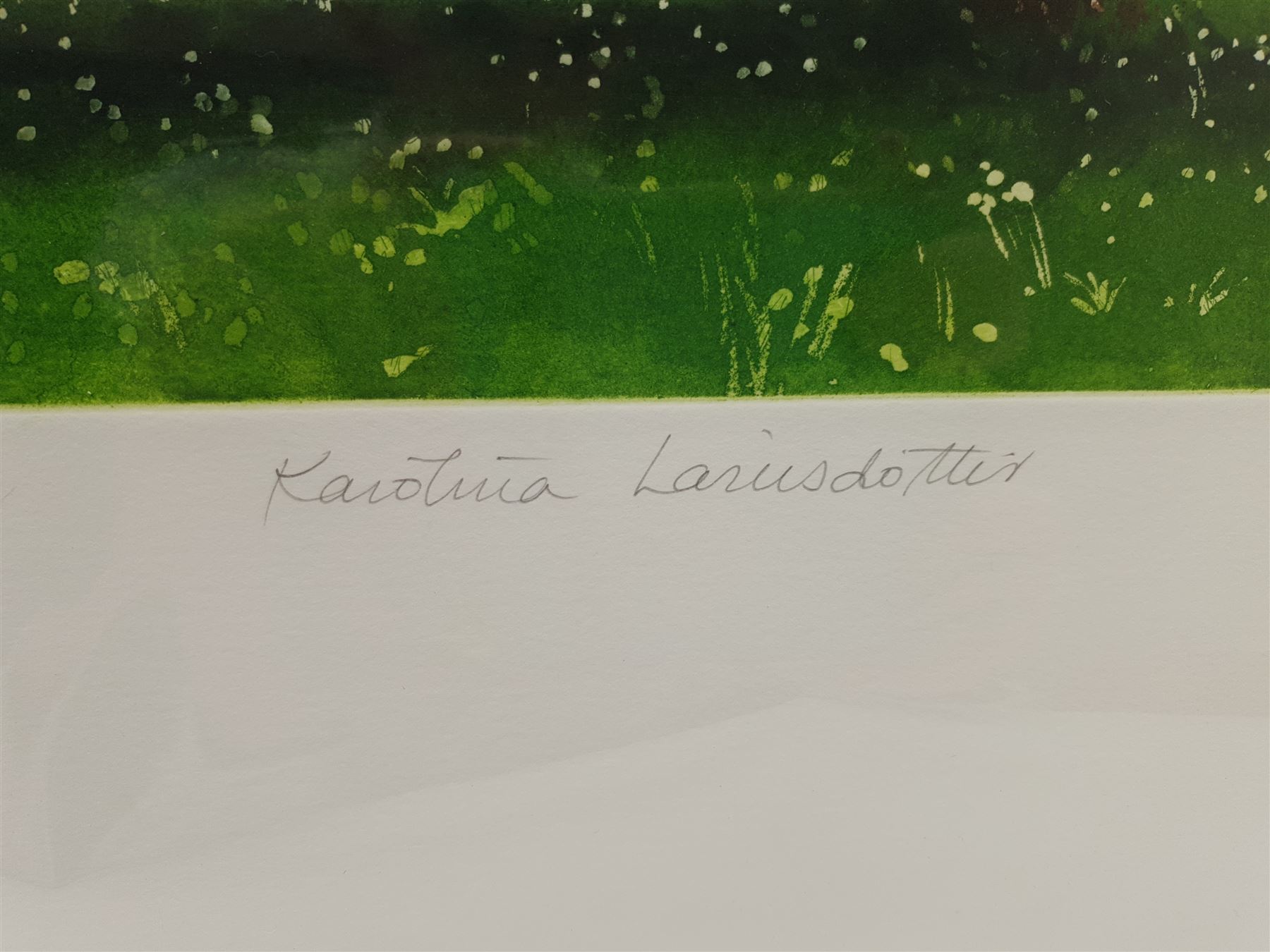 Karólína Lárusdóttir (Karolina Larusdottir) (Icelandic 1944-2019): 'The Magic Garden', coloured etching with aquatint signed titled and numbered 23/100, 57cm x 24.5cm with full margins (unframed)