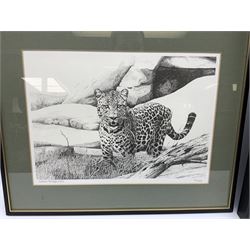 After William Baker (British 20th century): Genet and Jaguar, pair limited edition prints signed in pencil dated 1980 and numbered 37/250 and 38/250 respectively together with a screenprint of palm trees max 25cm x 38cm (3)