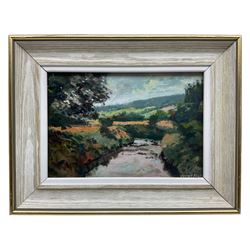 James Neal (Northern British 1918-2011): River Landscape, oil on board signed 15cm x 21cm