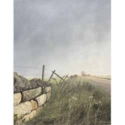 Jerry S Waide (British 1948-): The Dry Stone Wall, oil on canvas signed and dated '82, 45cm x 35cm