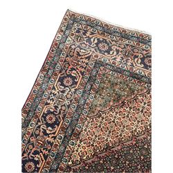 Persian Bidjar peach ground carpet, central pole medallion enclosed within lozenge field and spandrels, decorated all over with small Heratti motifs, the main border with trailing pattern decorated with stylised plant and Boteh motifs, within two triple band guard stripes with repeating flower head decoration 