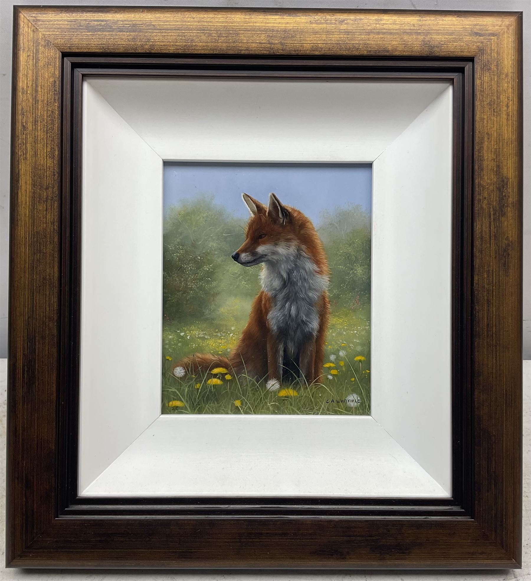 Carl Whitfield (British 1958-): 'Fox in Meadow', oil on board signed 14cm x 11.5cm
Provenance: with Lairgate Galleries, Beverley, original receipt verso