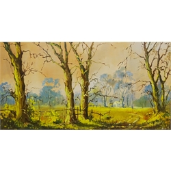  Don Micklethwaite (British 1936-): Rural Landscape, oil on canvas signed 39cm x 74cm  